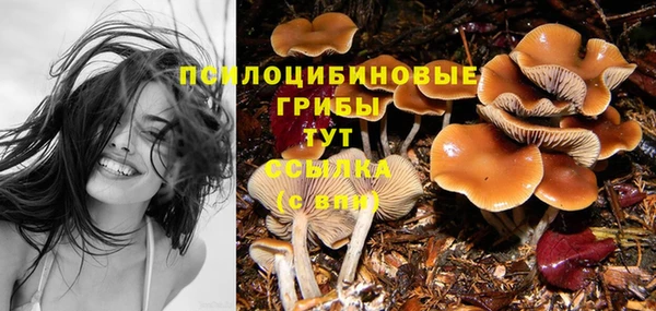 бошки Касимов