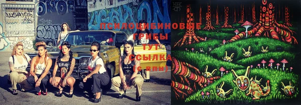 mdma Карпинск