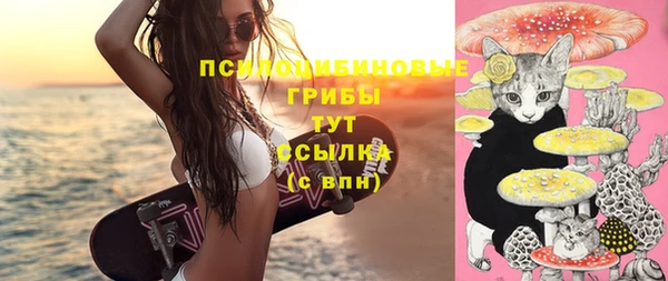 бошки Касимов